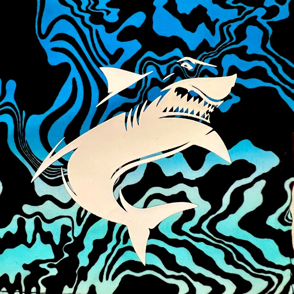 Waves / Boardshorts With Liner / New / Youth